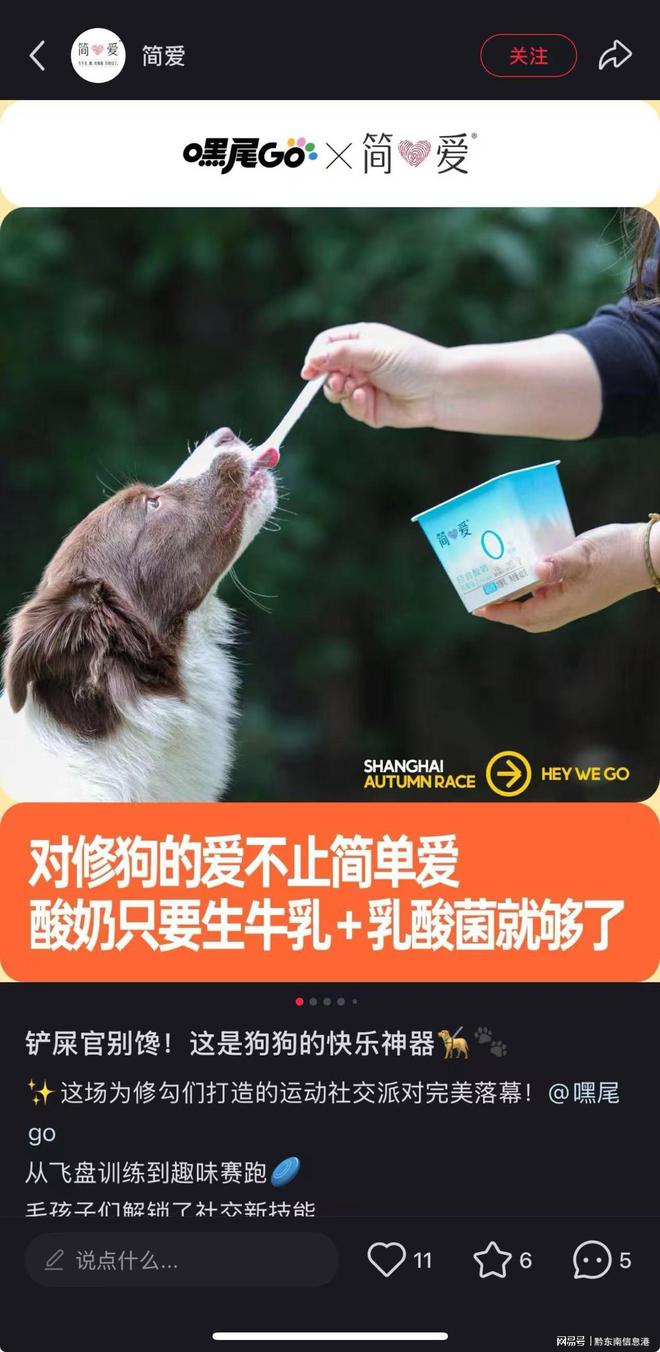 净配方”撬动萌宠经济与母婴信任双赛道pg电子模拟器免费试玩简爱酸奶以“纯