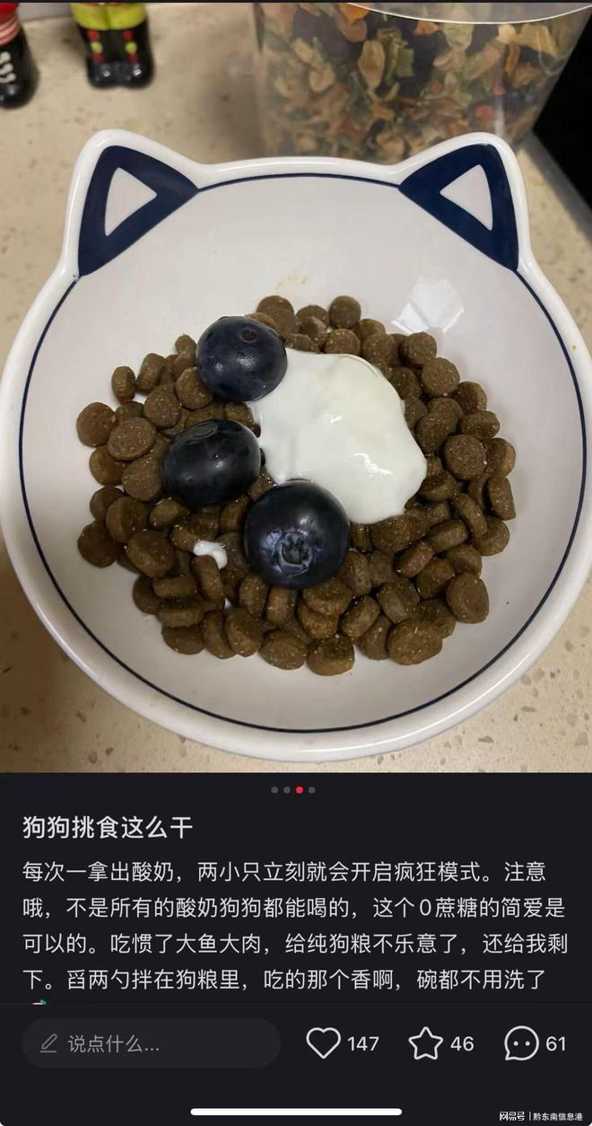 净配方”撬动萌宠经济与母婴信任双赛道pg电子模拟器免费试玩简爱酸奶以“纯(图3)