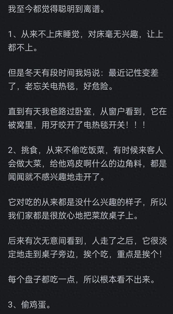 高的边牧？网友：你把它当家人它把你当傻子pg电子免费试玩模拟器为啥很多人不养智力(图6)
