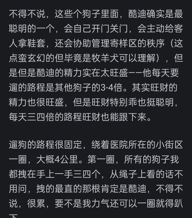 高的边牧？网友：你把它当家人它把你当傻子pg电子免费试玩模拟器为啥很多人不养智力(图7)