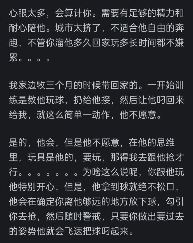 高的边牧？网友：你把它当家人它把你当傻子pg电子免费试玩模拟器为啥很多人不养智力(图9)