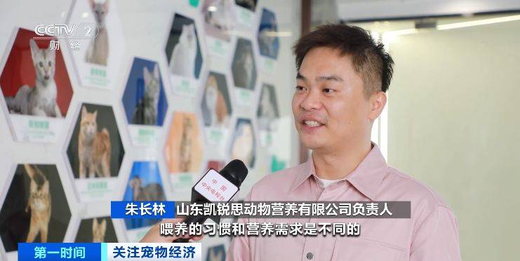 年我国宠物食品市场规模将突破1755亿元pg电子中文模拟器消费需求升级2025(图1)