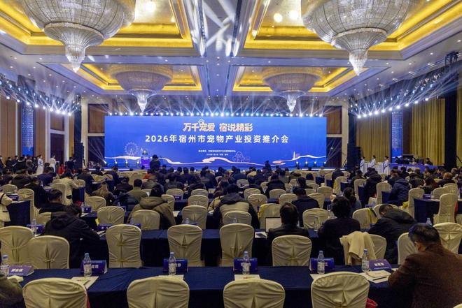 推介会目标打造长三角宠物经济发展新高地pg电子中国网站宿州召开宠物产业投资(图4)